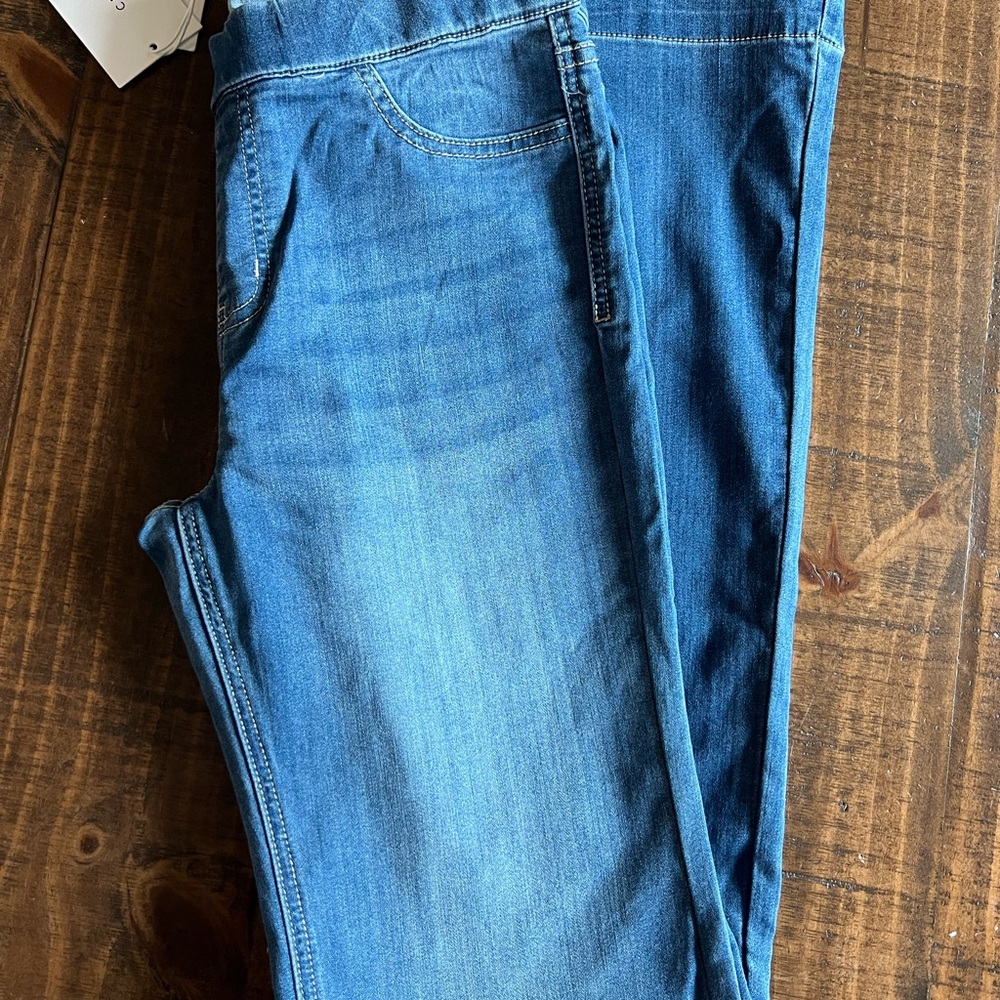 Cello Women's Flare Jeans in Blue
